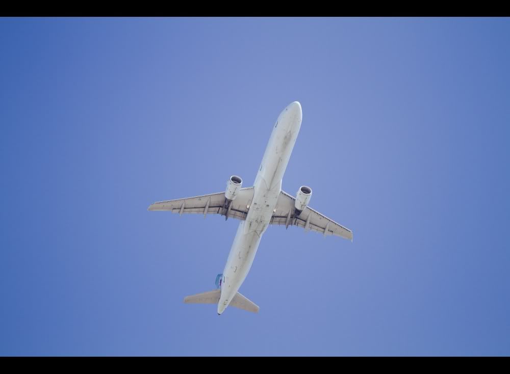 IMAGE: http://i223.photobucket.com/albums/dd108/ddl_cgy/Sigma%20120-300%20Zoo/OverheadPlane.jpg