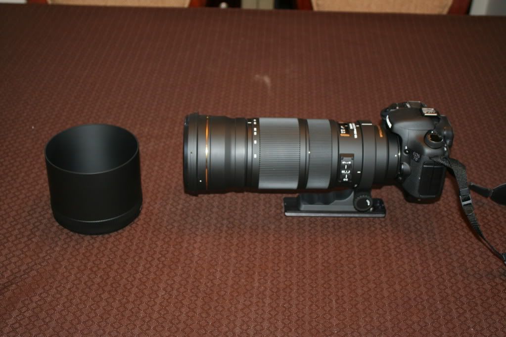 IMAGE: http://i223.photobucket.com/albums/dd108/ddl_cgy/Sigma%20120-300OS/IMG_8820.jpg