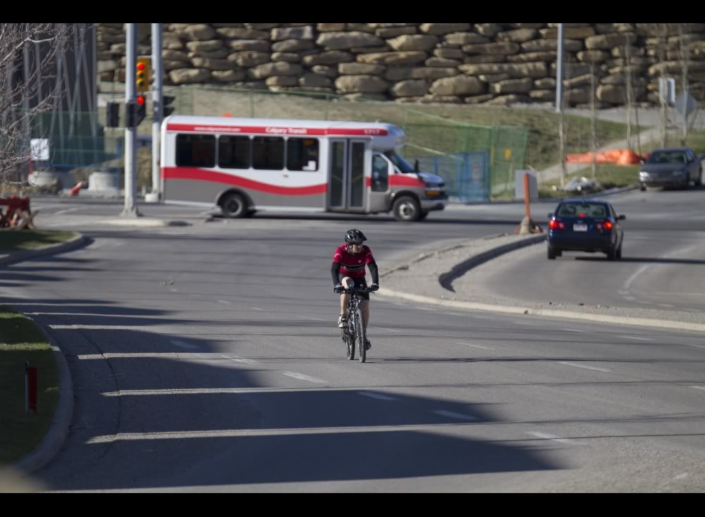 IMAGE: http://i223.photobucket.com/albums/dd108/ddl_cgy/Sigma%20120-300OS/LowRes_48.jpg