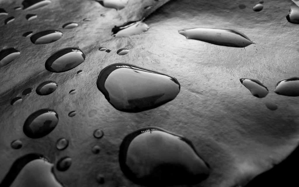 00838_drops_1440x900.jpg