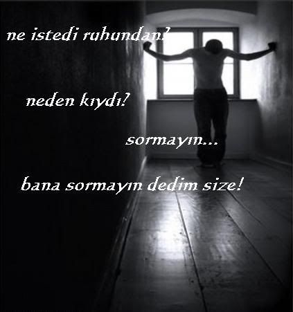 116lk19jmpy0.jpg