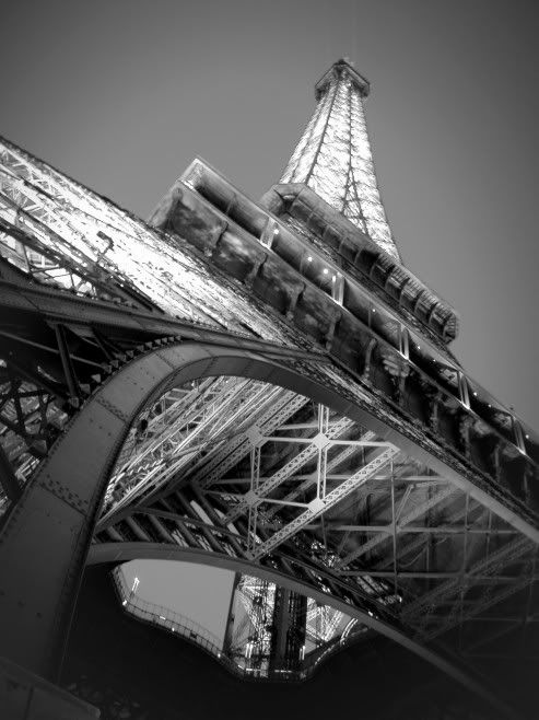 151255_61668_8df07a2d01_p.jpg