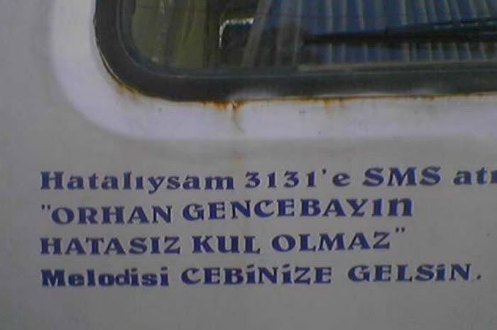 5982_0.jpg