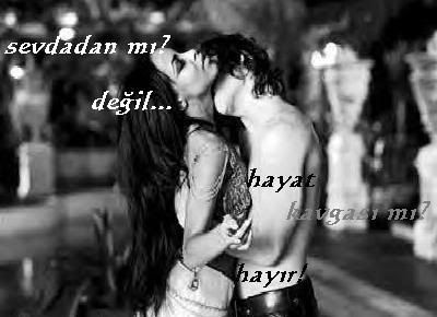 66dn3wfpq2.jpg