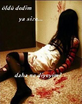 82fm9vzcp7.jpg