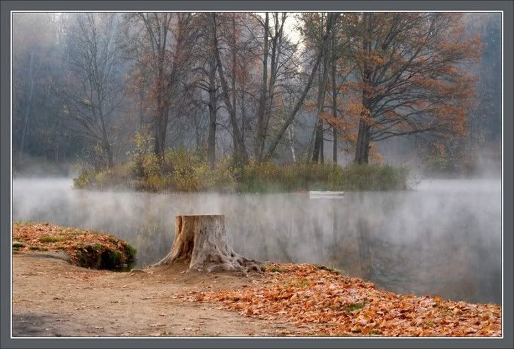 Autumn11.jpg