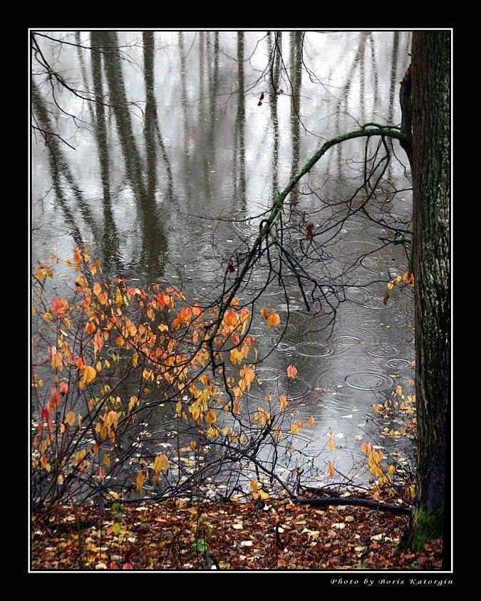 Autumn13.jpg