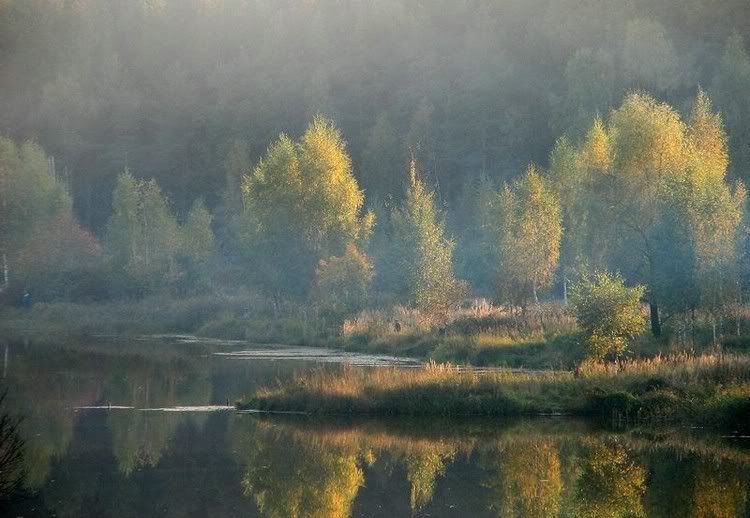 Autumn15.jpg