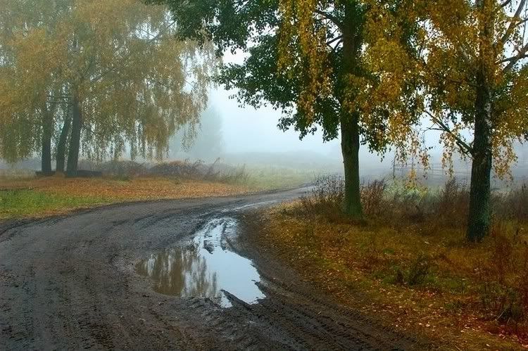 Autumn21.jpg