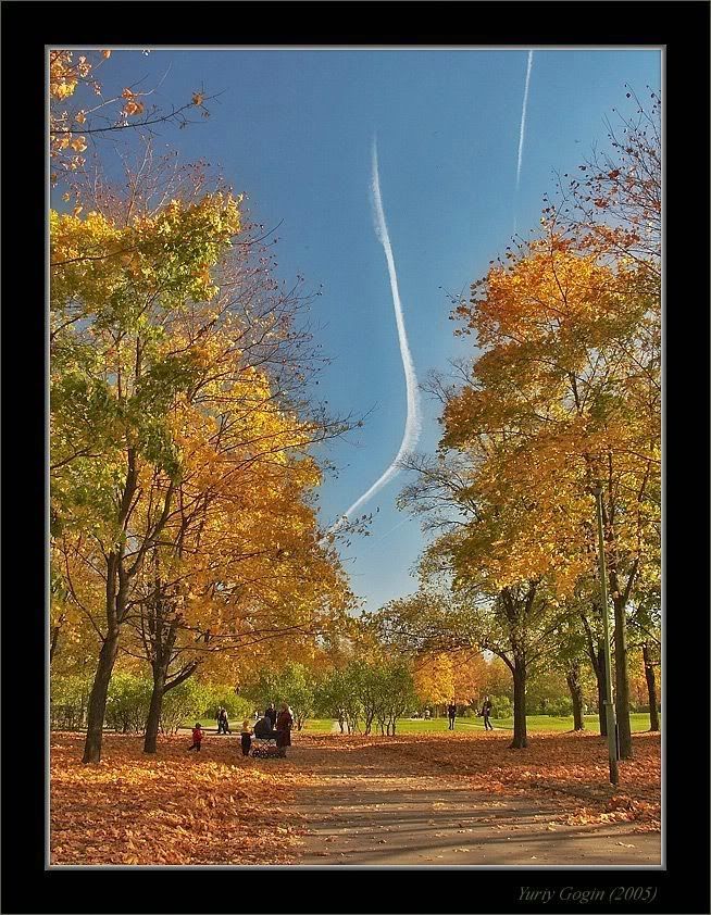 Autumn22.jpg