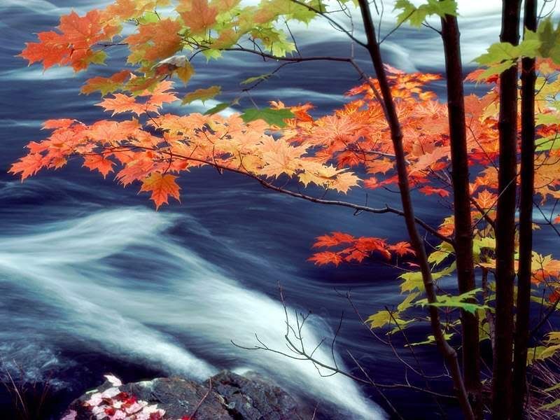 Autumn28.jpg