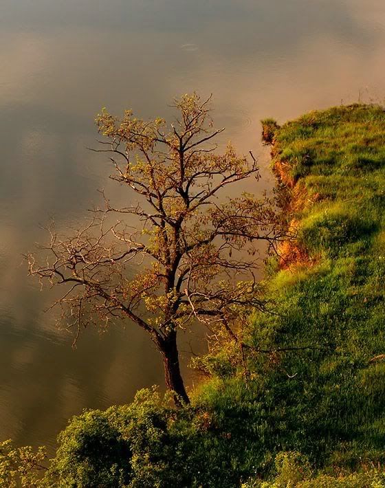 Autumn9.jpg