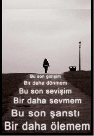 birdahaolememfv6.jpg