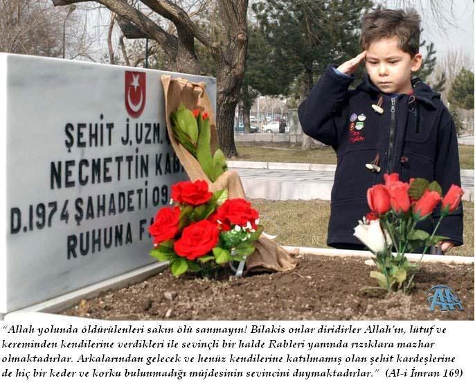 eeeee2je.jpg