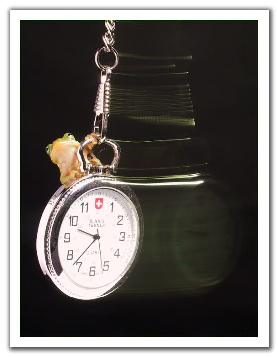 021028080440time-frogblk2.jpg