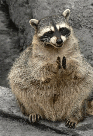20072007-24.gif