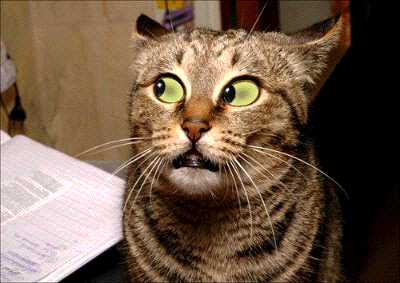 27072007-30_01.gif