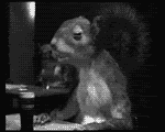 27072007-32.gif