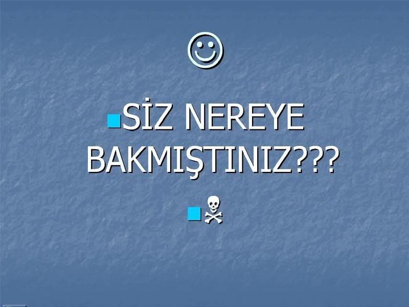 61za5.jpg