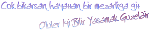 894.gif
