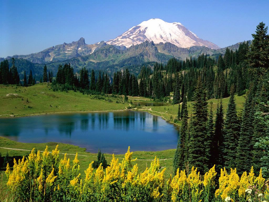 Alpine_Scenic_Mount_Washington_Wash.jpg