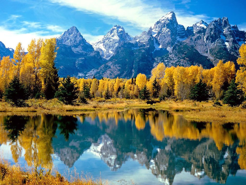 Autumn_Grandeur_Grand_Teton_Nationa.jpg