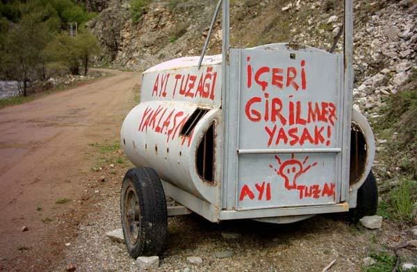 26uu8.jpg