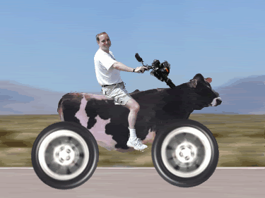 b94309inekmimotosikletmhu3.gif