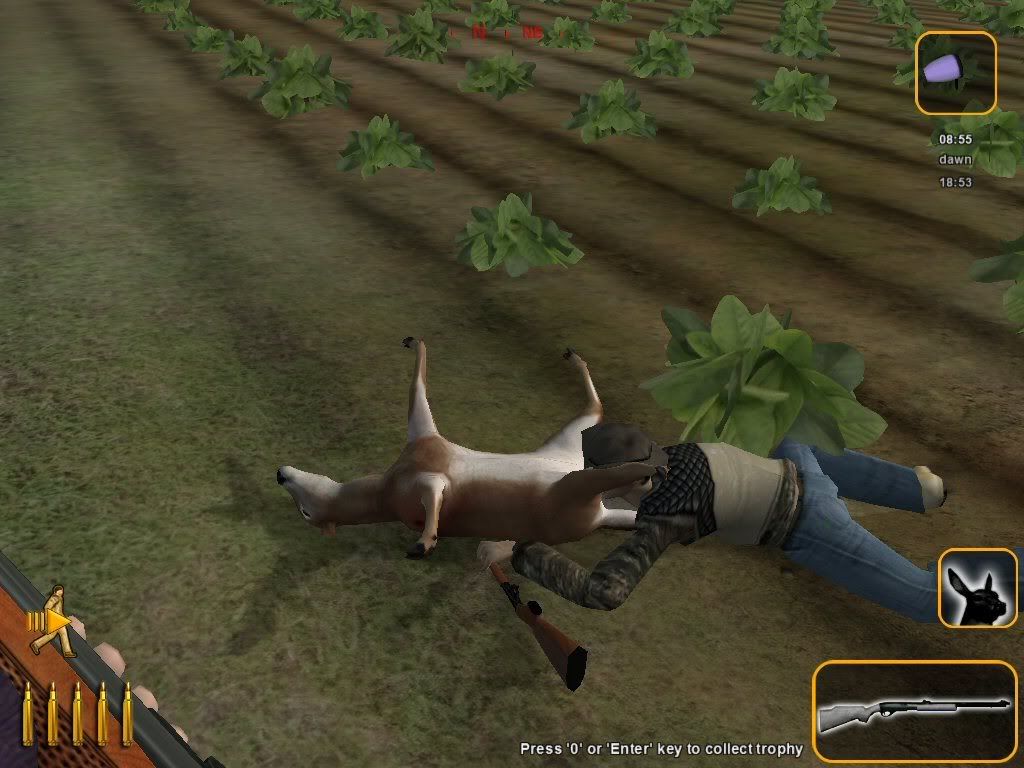 deerhunter3.jpg