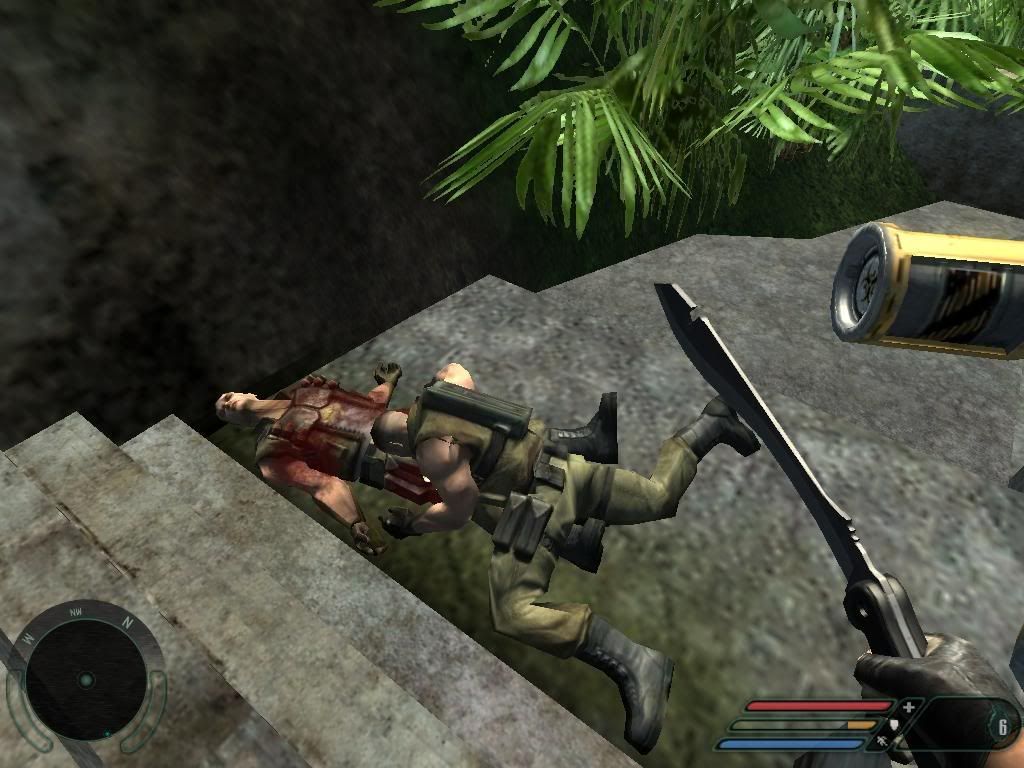farcry.jpg