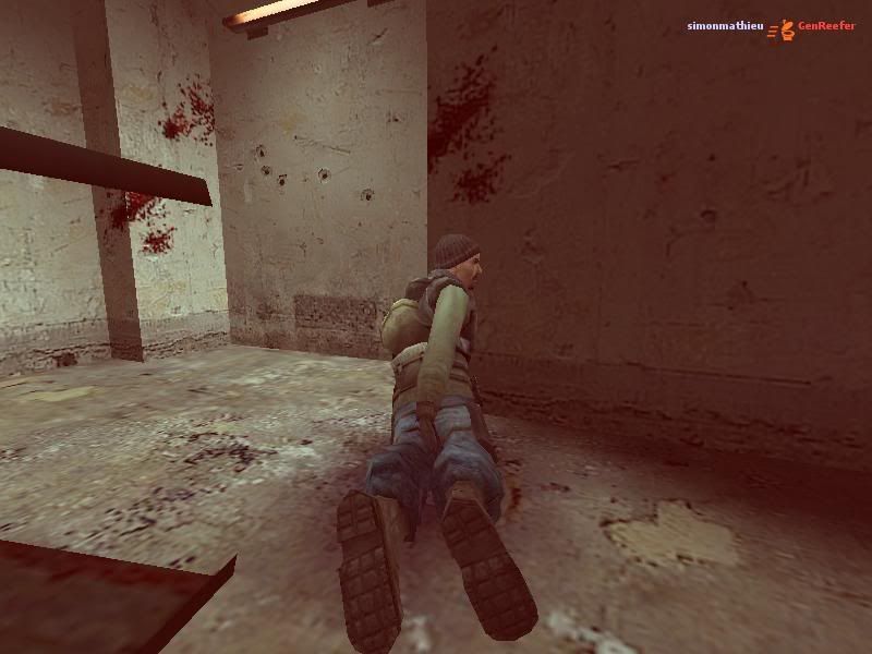 halflife2.jpg