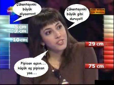 b1yy9.jpg