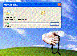 b6oc4.gif