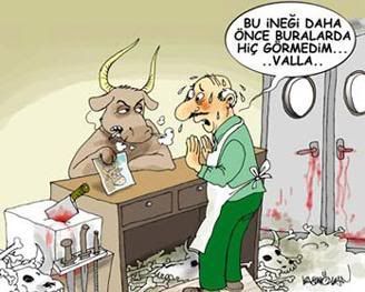 doruyusylezk0.jpg