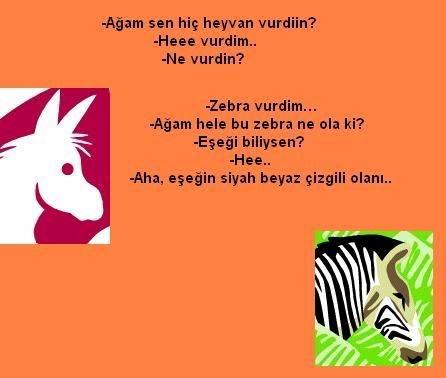 34al1.jpg