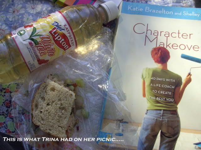 WhatTrinahadonherpicnicemailsize.jpg 6 What Trina had on the picnic picture by trina_davis_photo