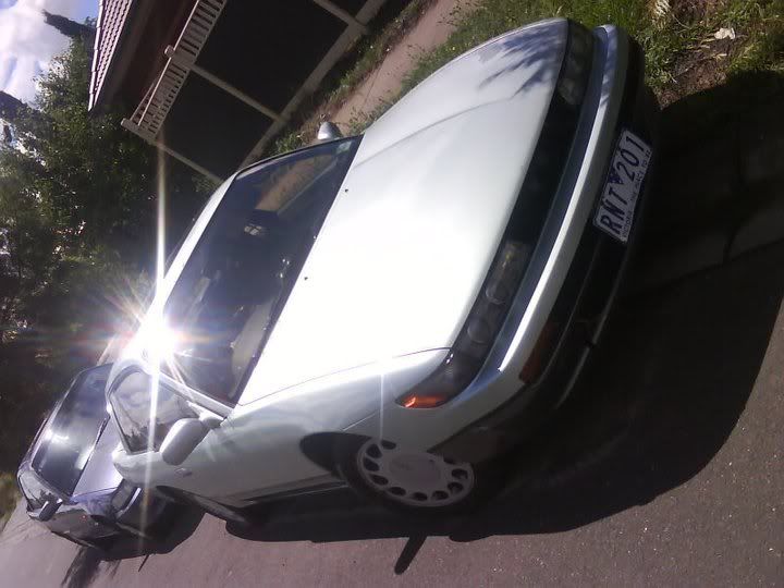 Posted Image