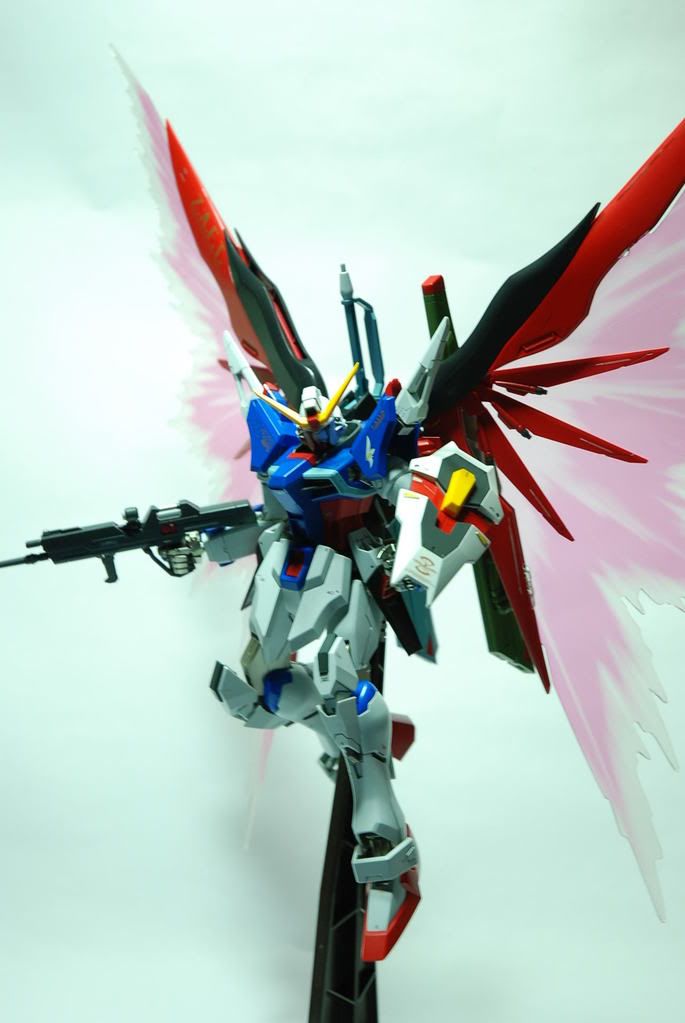 NO.16 1/100 MG 命運鋼彈[特彆版] Destiny Gundam