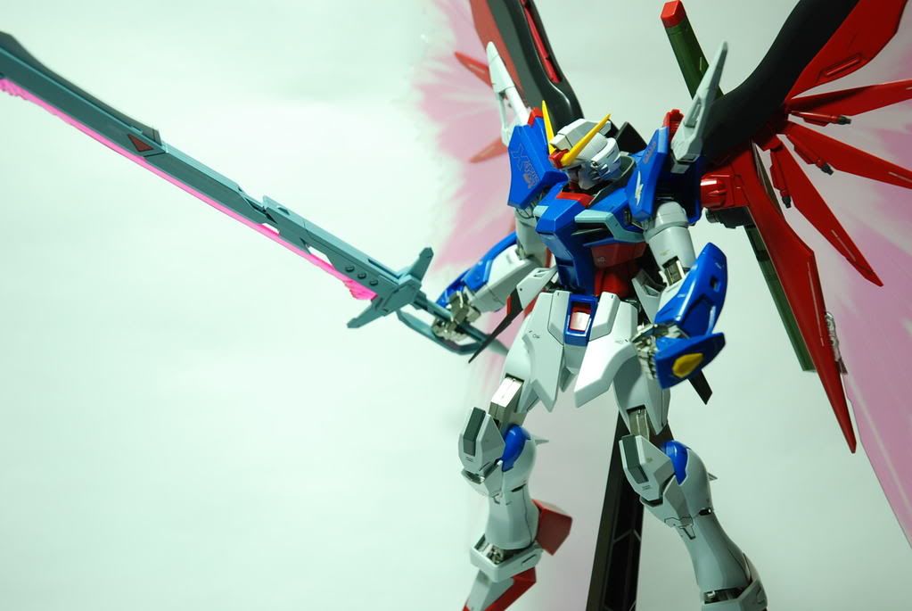 NO.16 1/100 MG 命運鋼彈[特彆版] Destiny Gundam