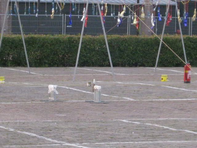 IMG_0613.jpg
