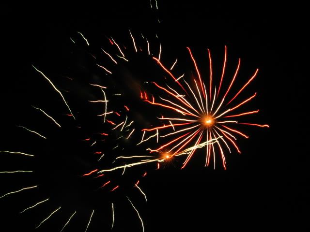 IMG_3171.jpg