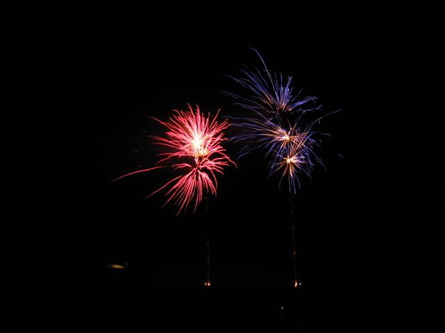 IMG_3184.jpg