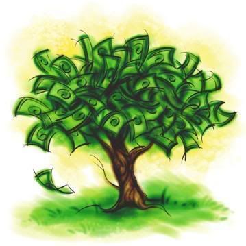 money tree. Pictures, Images and Photos