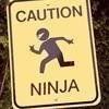 ninja