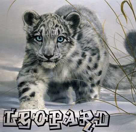 Leopard Avatar
