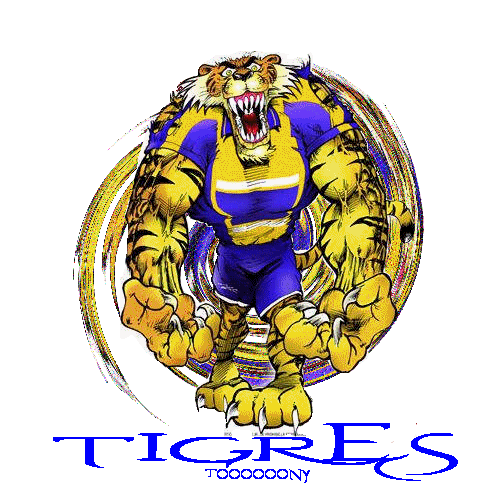 Tigres Mascota