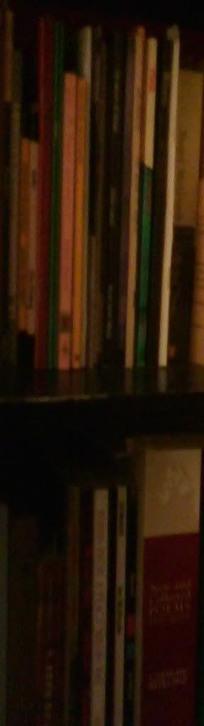 a sliver of my library