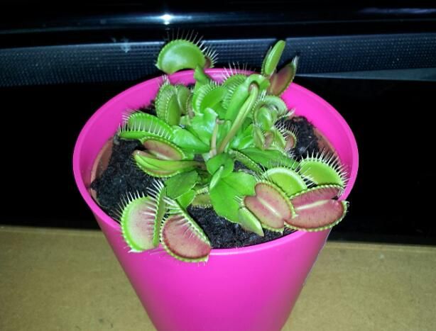 20130411_164954-1_zps230aef71.jpg