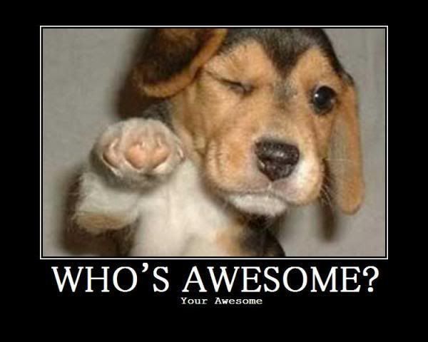 image: whos-awesome