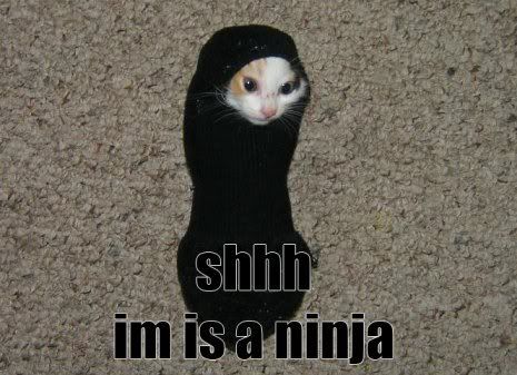 ninja.jpg